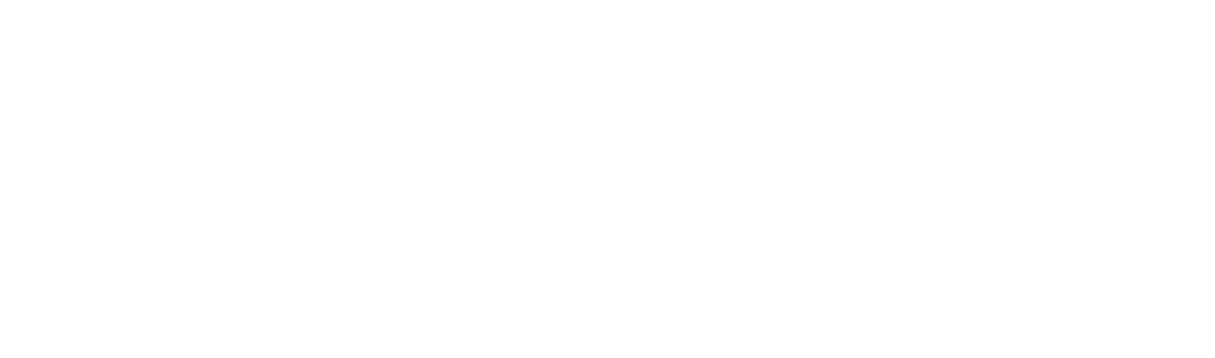 Revenue Loop Labs