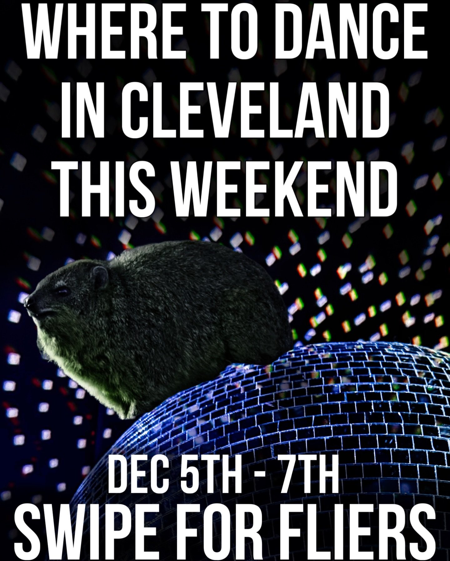 WHERE TO DANCE THIS WEEKEND IN CLEVELAND DEC 5th &ndash; 7th
SWIPE FOR FLIERS
🪩
Where are you dancing this weekend?
By the way, that&rsquo;s a Hyrax in case you&rsquo;re not familiar.