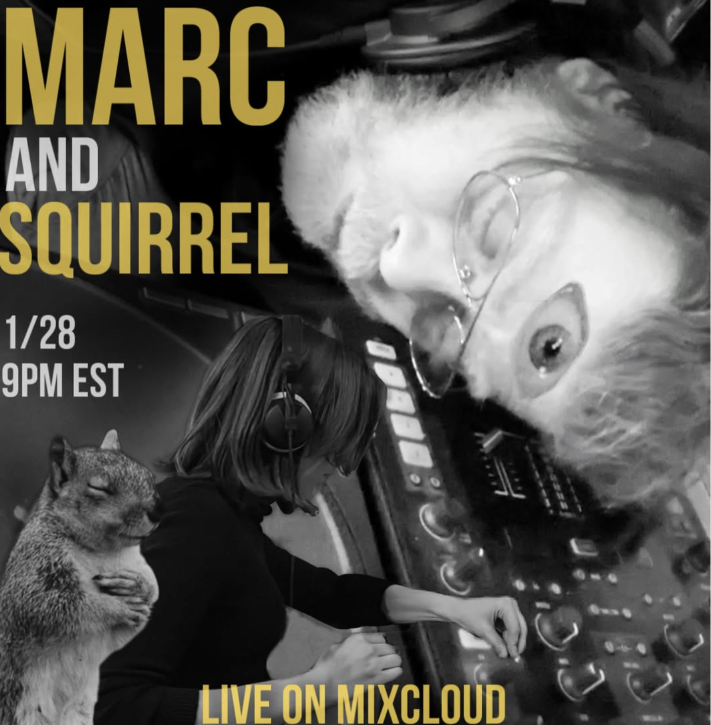 Marc Lansley B2B Squirrel 