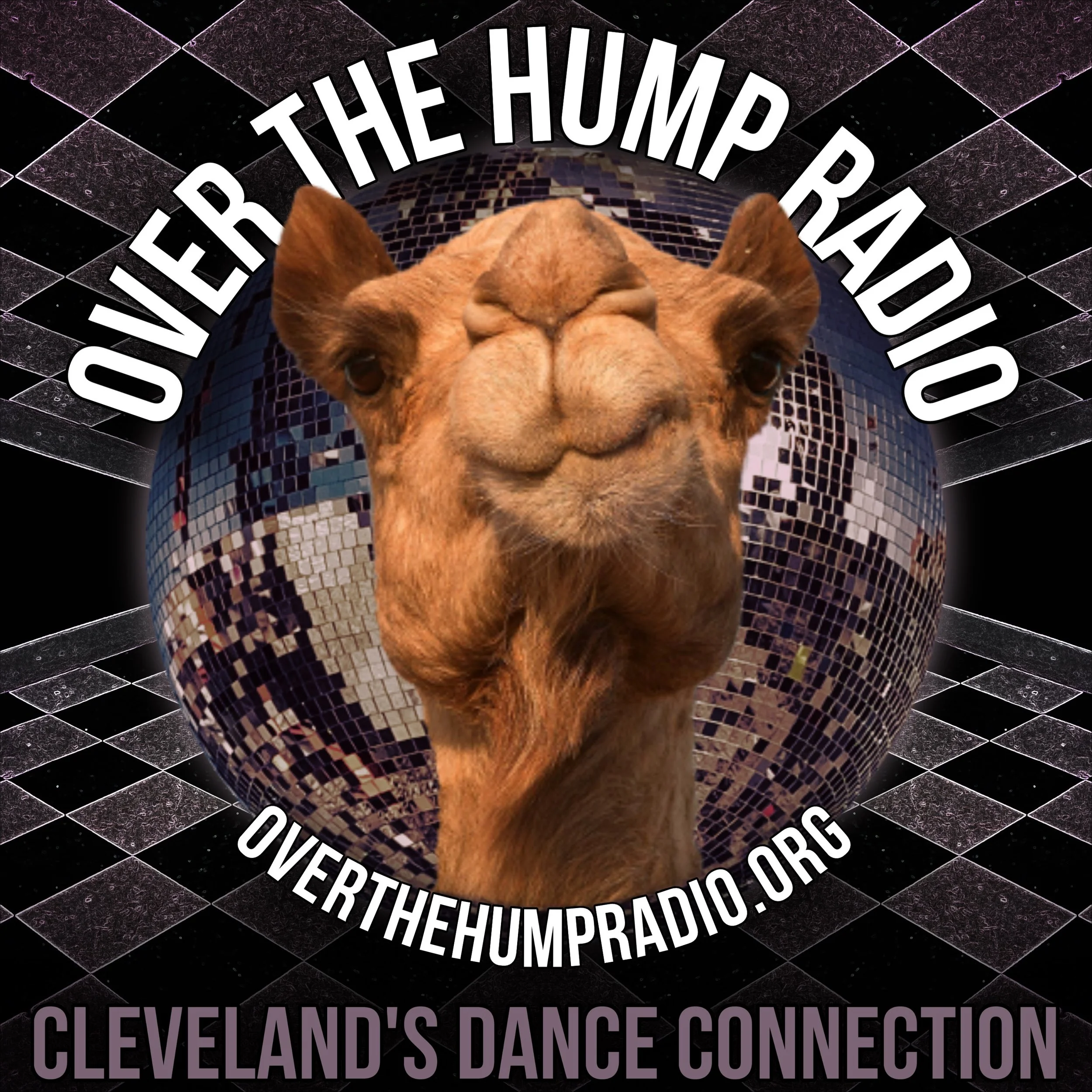 Graphic promoting Over the Humpr Radio featuring a close-up of a camel's face with a disco ball background and text about Cleveland's dance connection. Where to dance in Cleveland. Where to party in Cleveland. EDM in Cleveland.