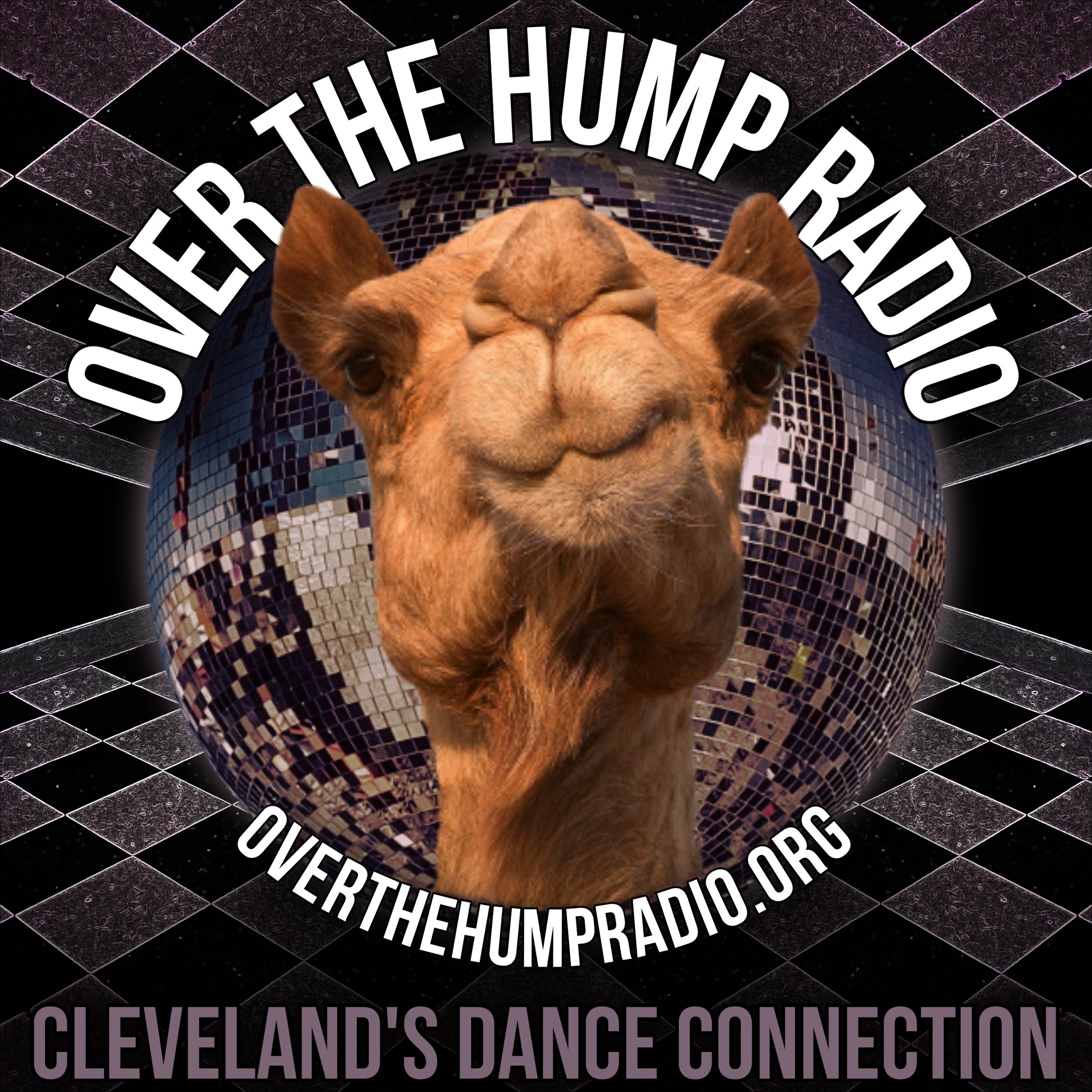 A camel's face prominently displayed in the center with a digital, reflective sphere background. Text at the top reads 'OVER THE HUMPER RADIO', and at the bottom, it says 'CLEVELAND'S DANCE CONNECTION', with the website 'OVERTHEHUMPRADIO.ORG'.