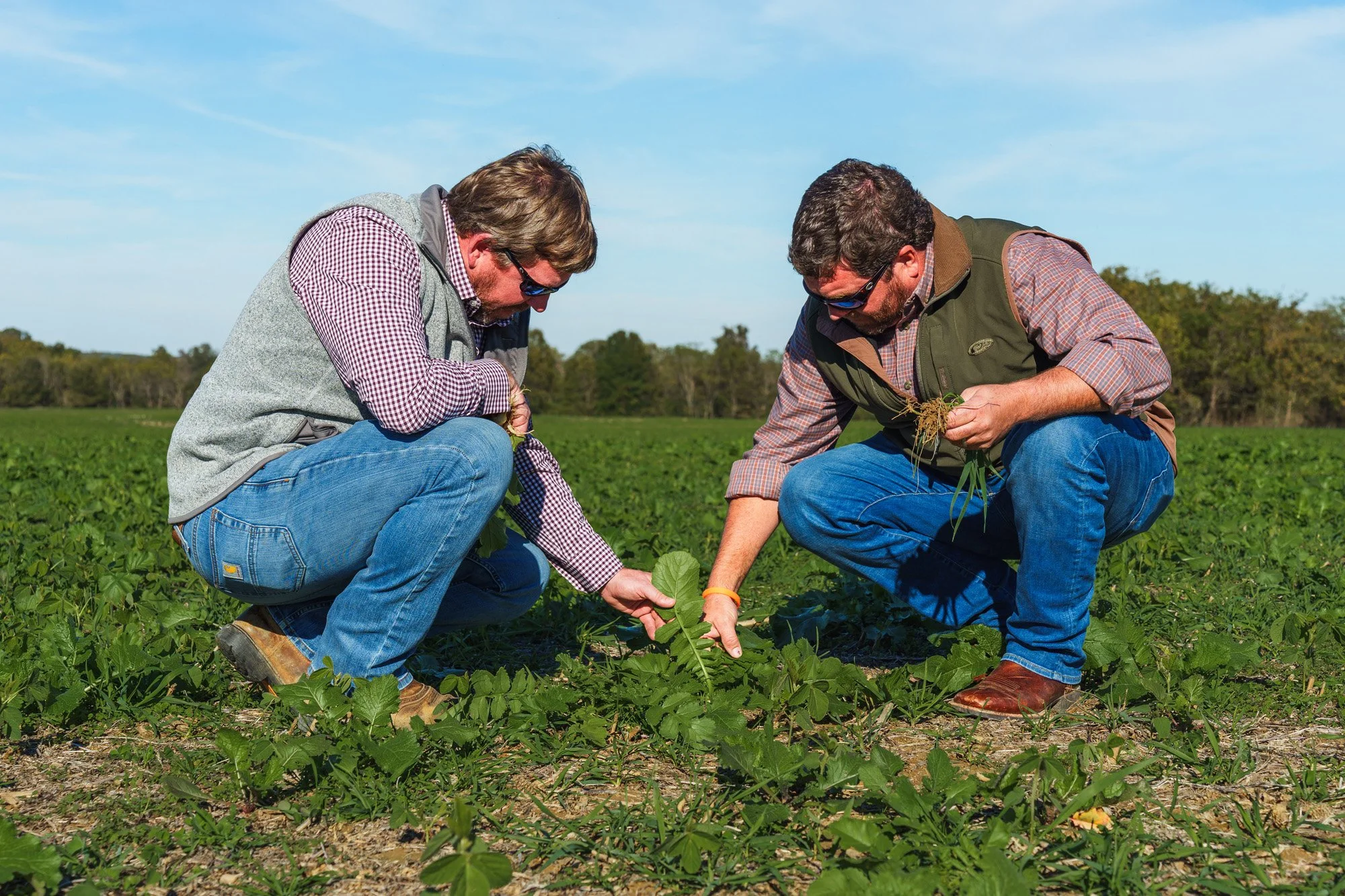 NDB team squatting looking at plants and roots