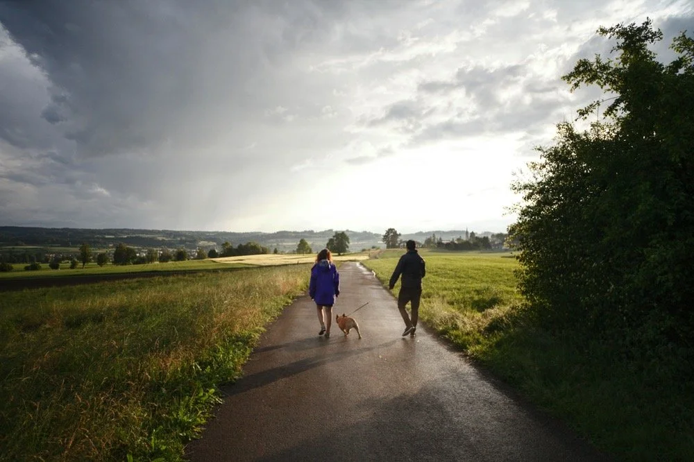 Modern wooden house with a stone pathway and steps leading up to it, set against a backdrop of green hills and snow-capped mountains.