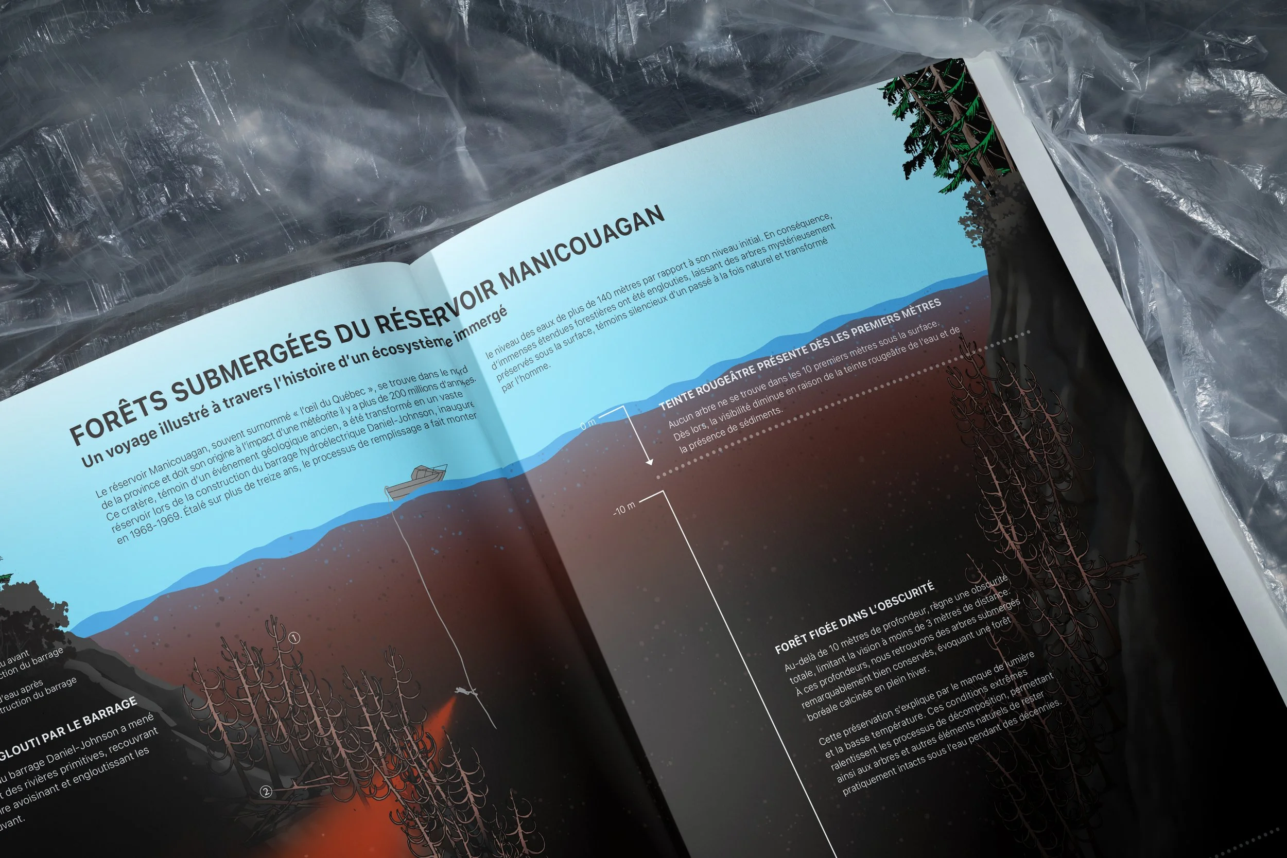 Forêts submergées du reservoir Manicouagan : un voyage illustré à travers l’histoire d’un écosystèm