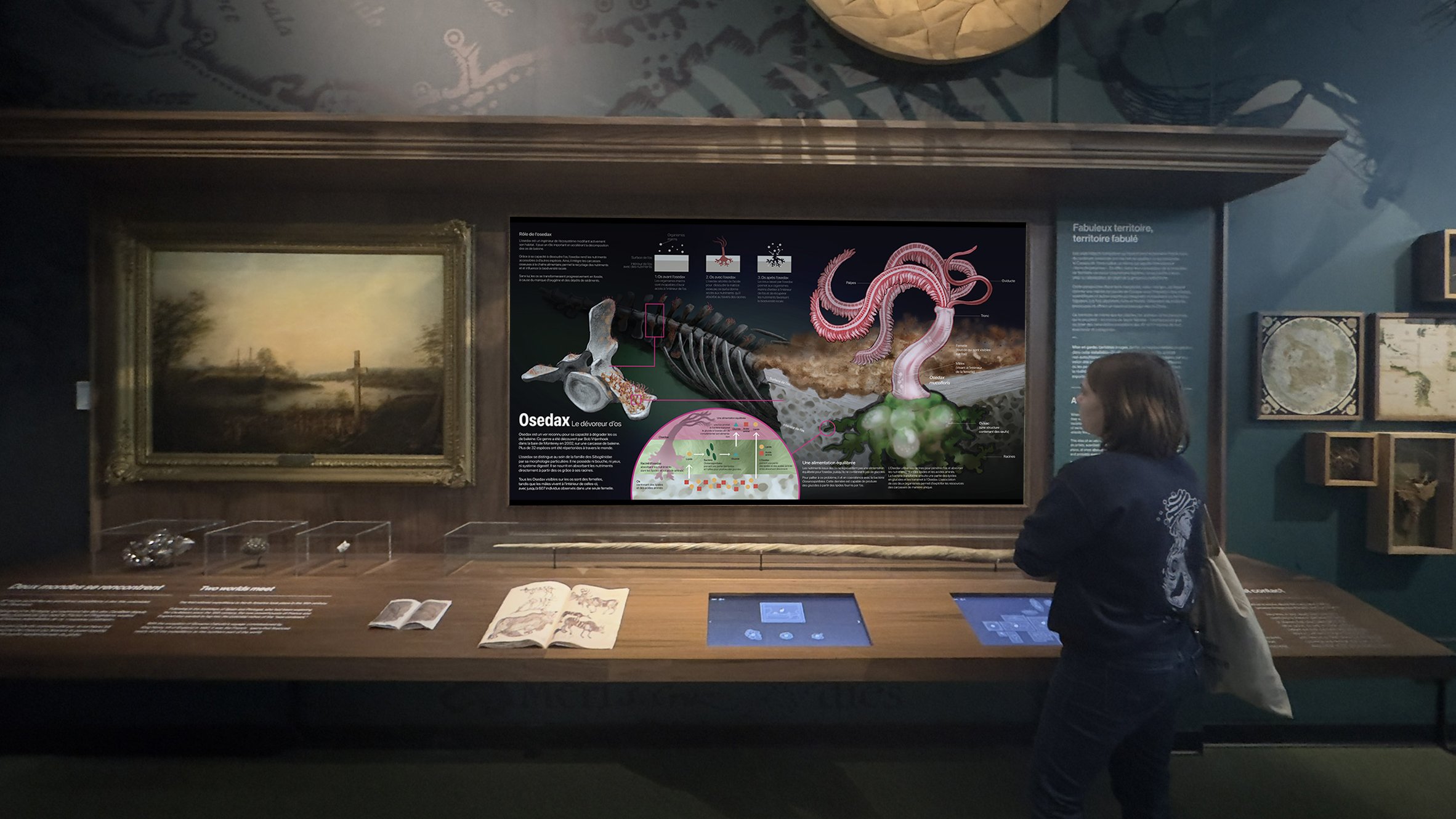 Osedax : le dévoreur d’os