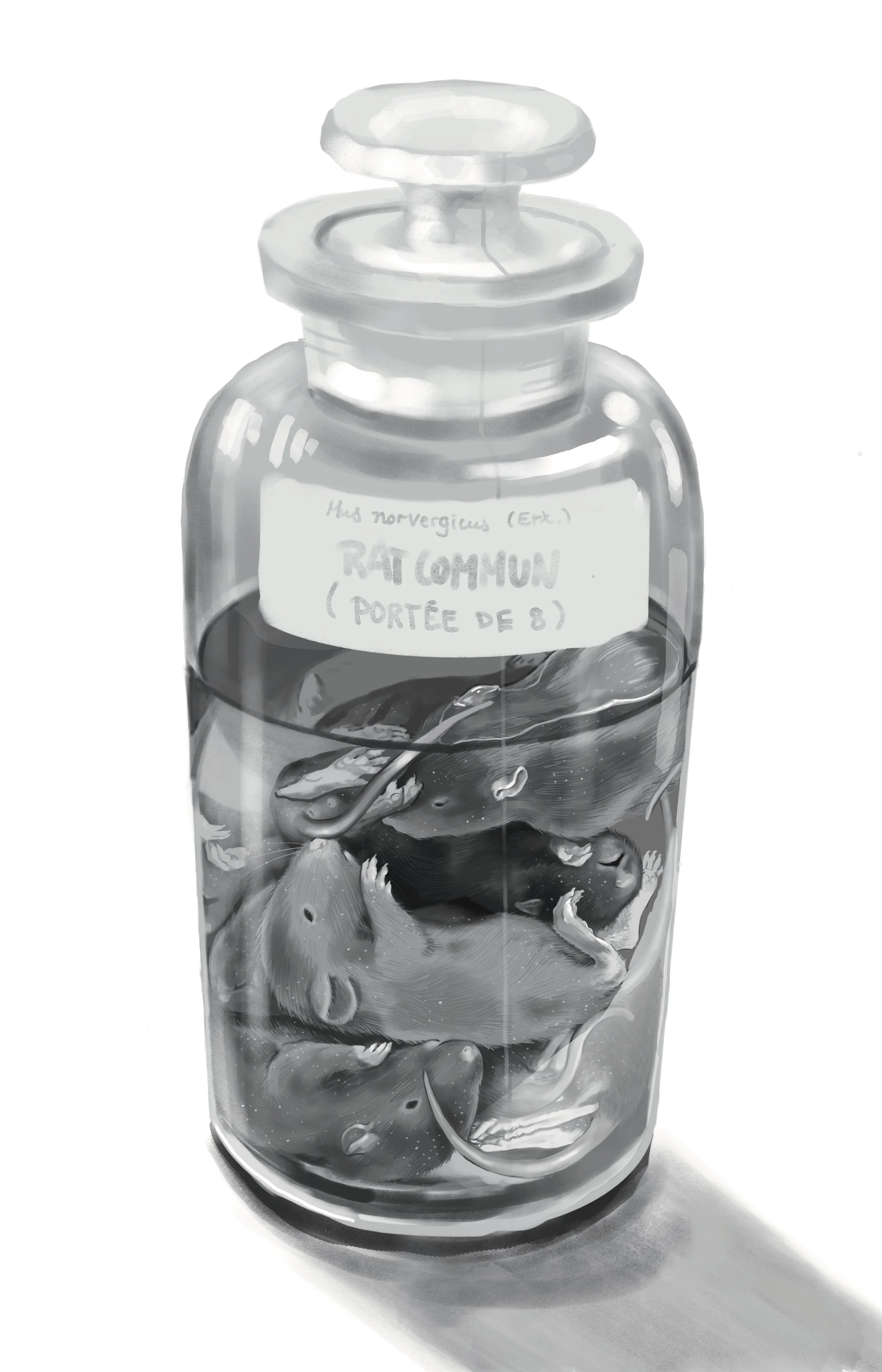 Untitled_Artwork 55.jpg