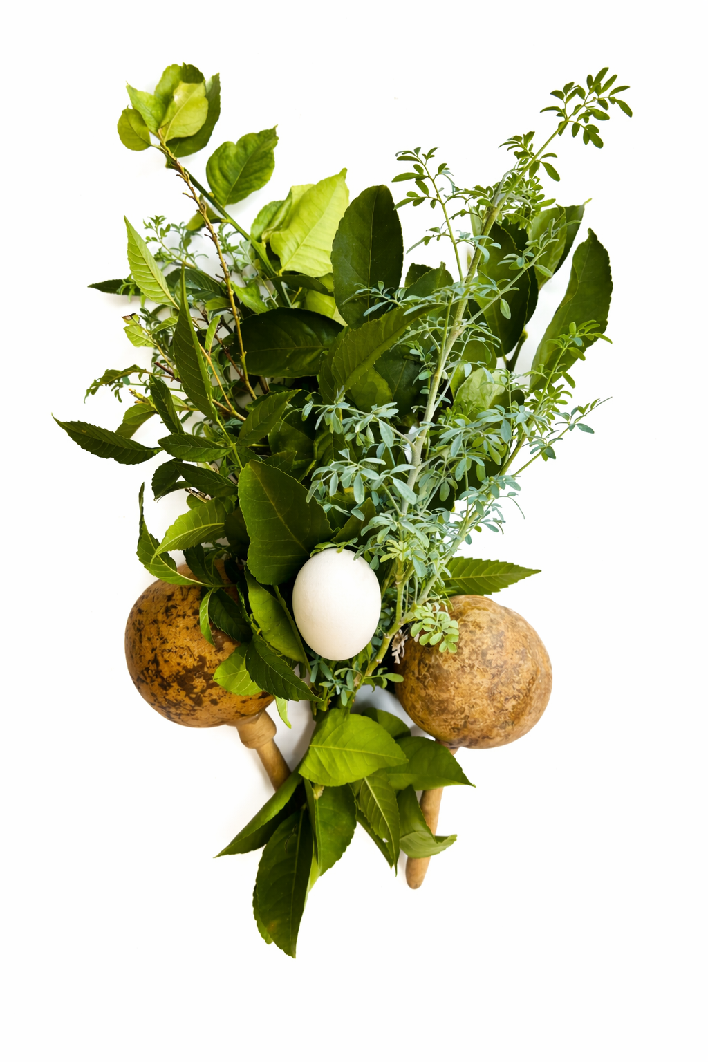 Herb & Egg Cleansing