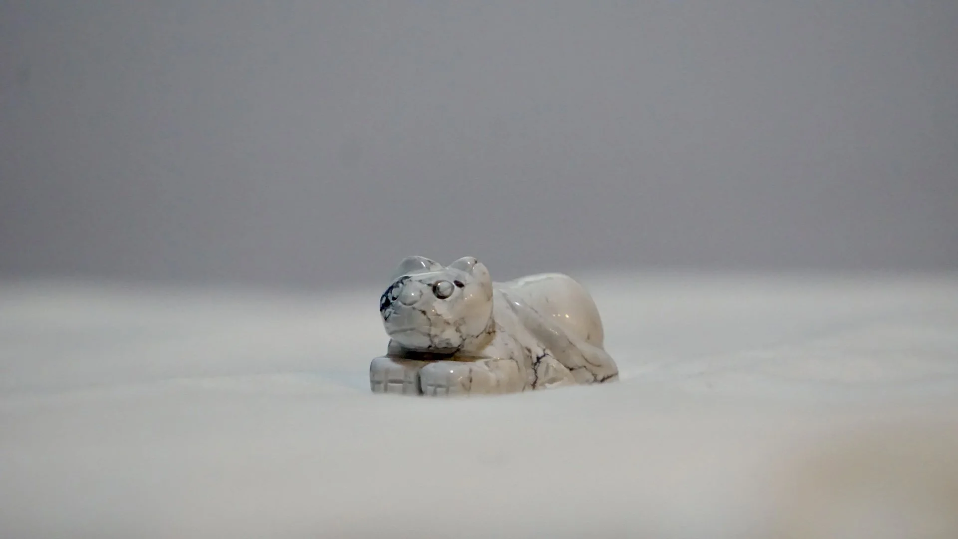 White Howlite Cat.jpg