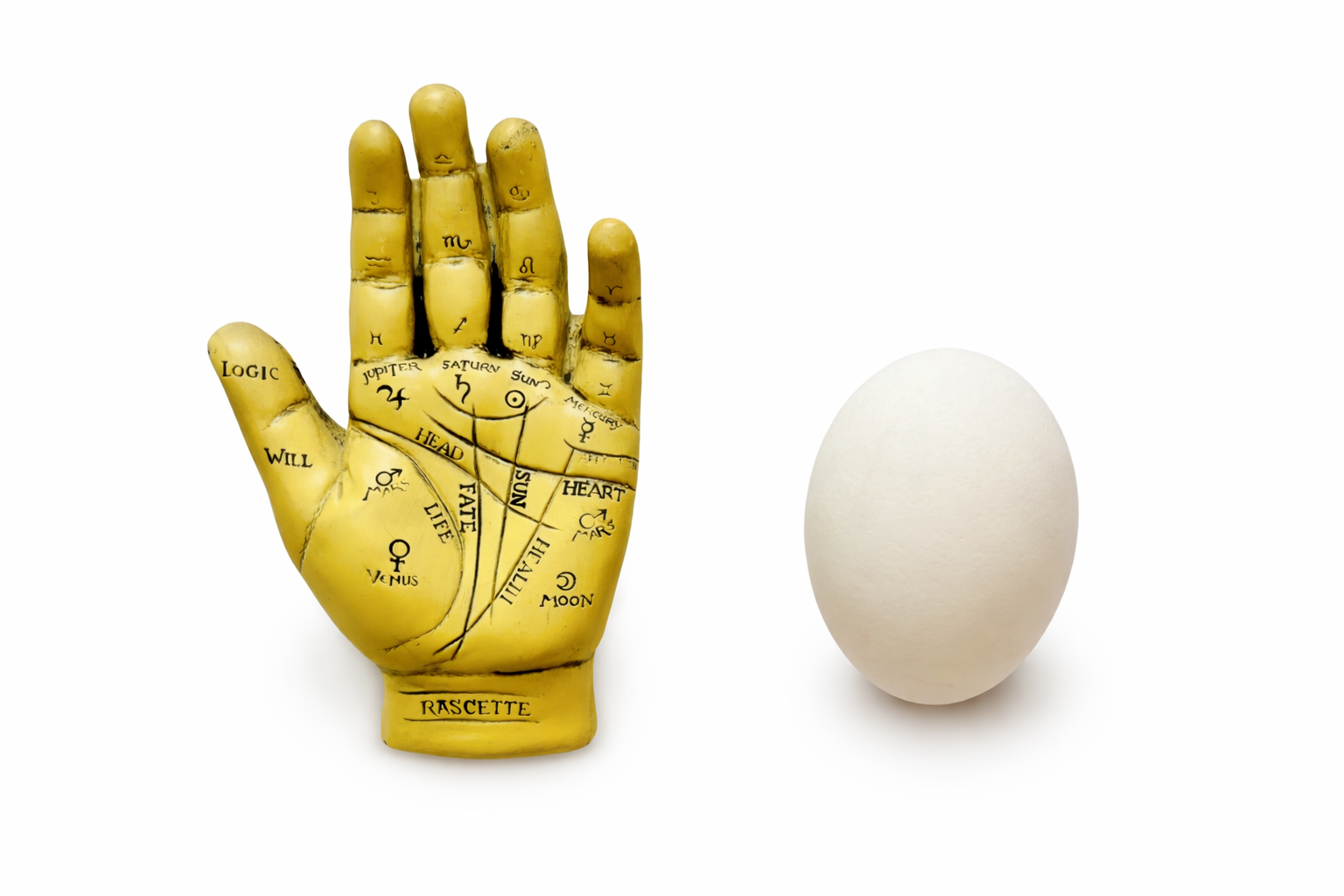 Hand & Egg.png