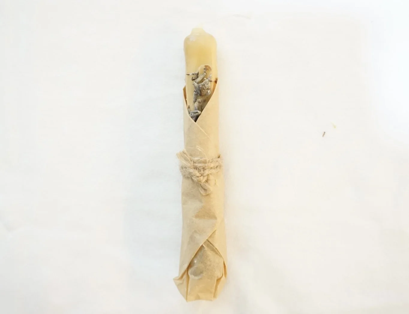 PS Lavender.jpg (Copy)