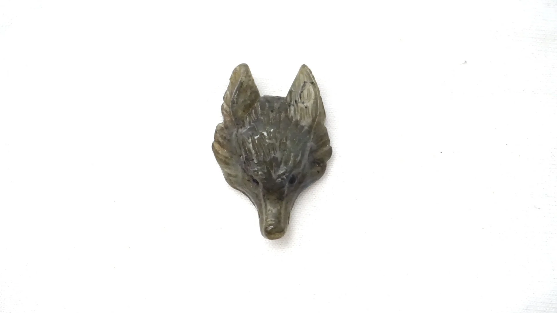 Wolf Head Palm Stones