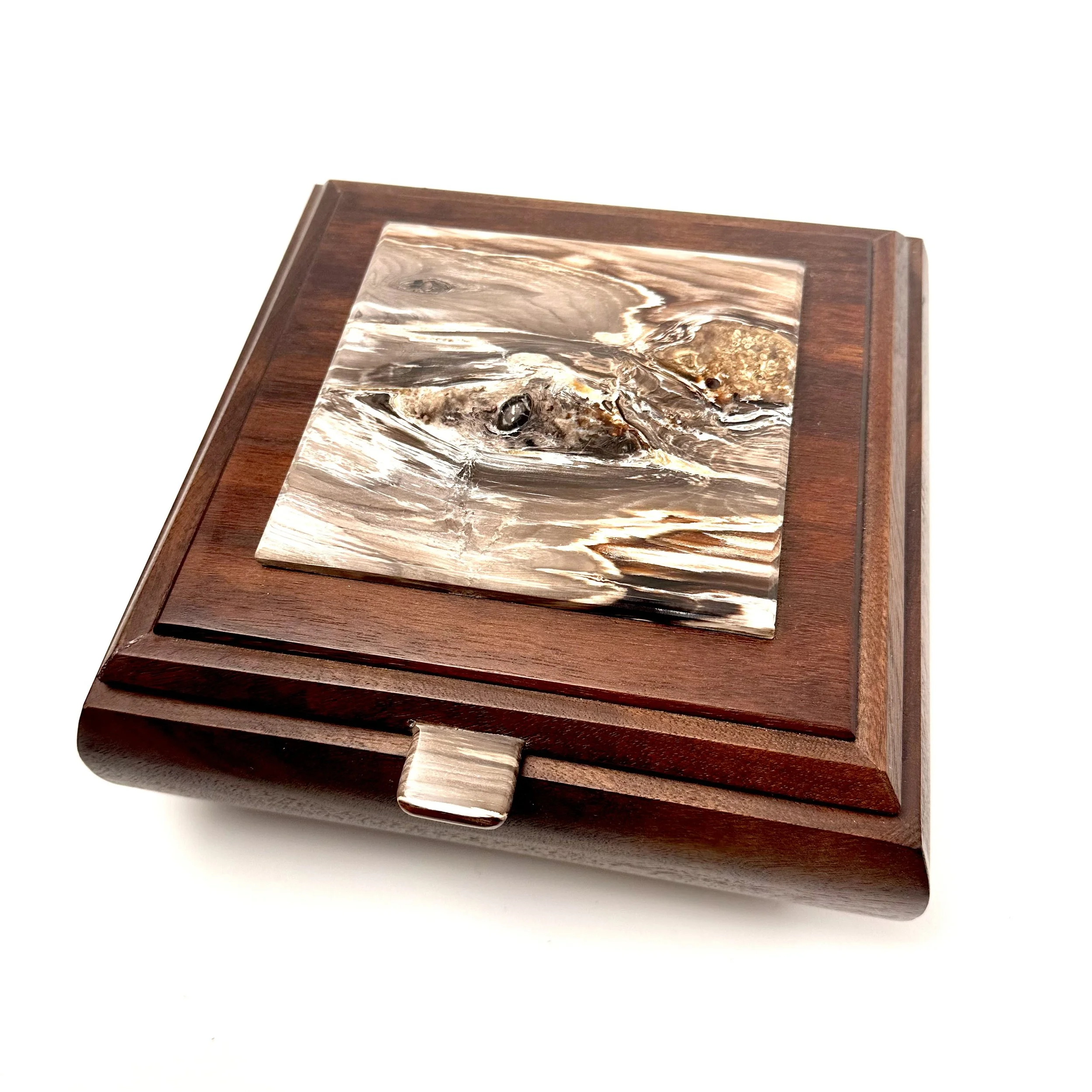 Walnut box with opalized petrified wood