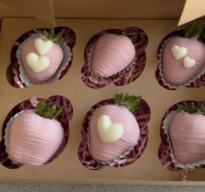 Screenshot 2025-11-18 at 11.33.31 PM.png