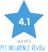 Une étoile bleue avec le texte '4.1' à l'intérieur, indiquant une note ou une évaluation.