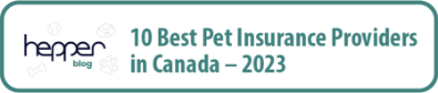 Bannière présentant le titre '10 meilleurs fournisseurs d'assurance pour animaux de compagnie au Canada - 2023'.
