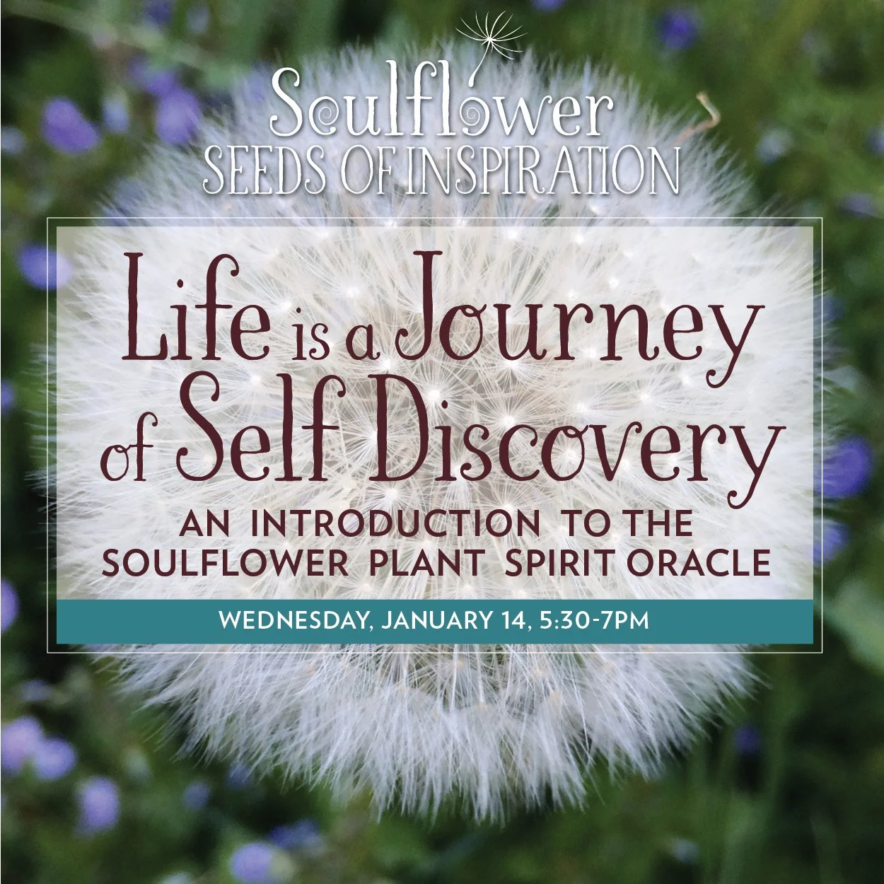 Life is a Journey of Self Discovery