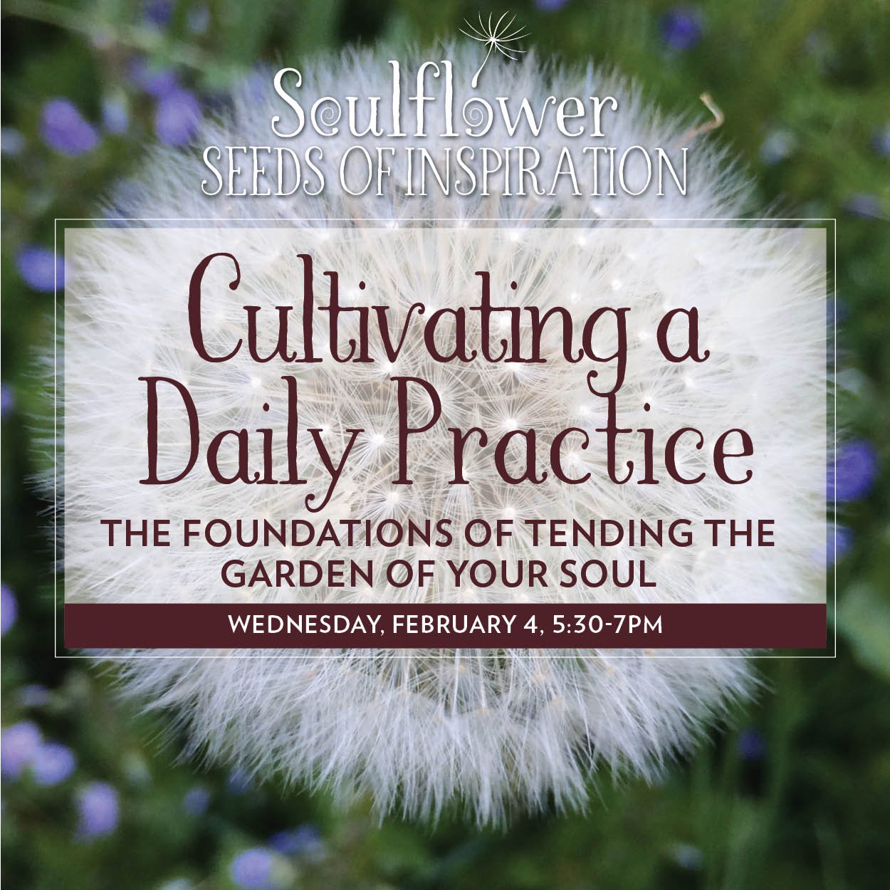 Cultivating a Daily Practice Zoom