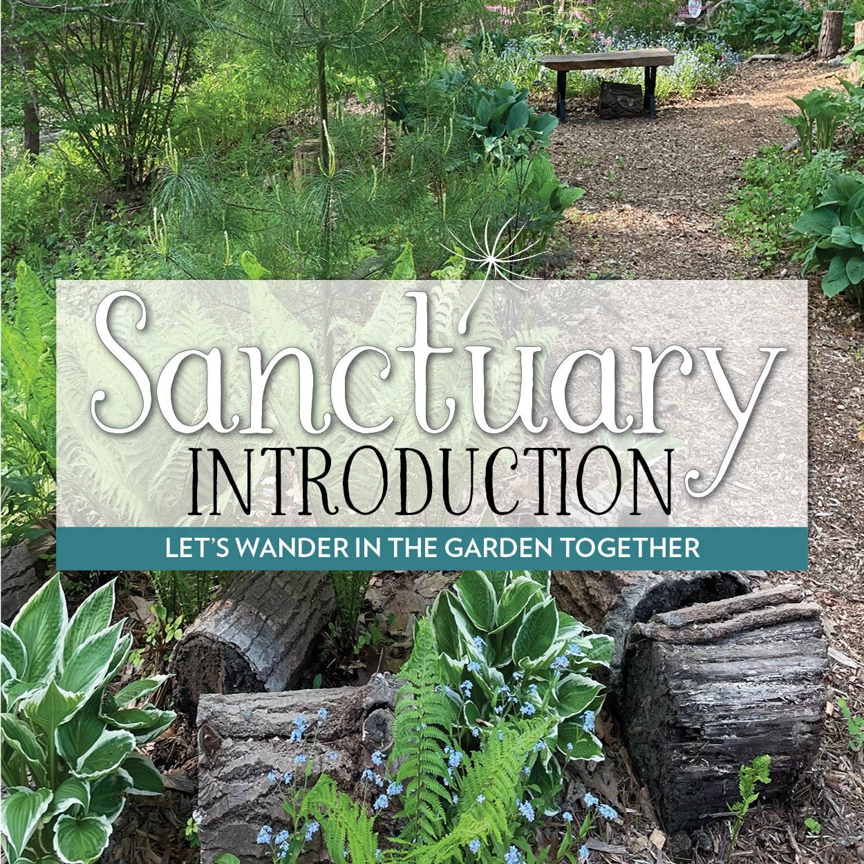 Introduction to the Sanctuary
