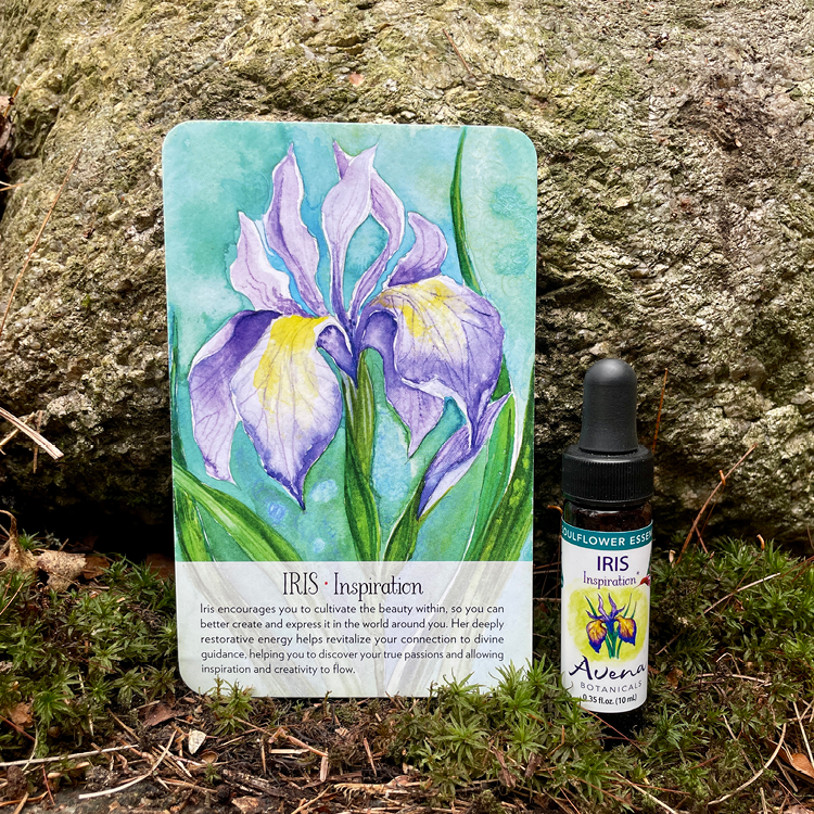 Iris Soulflower Essence5.png