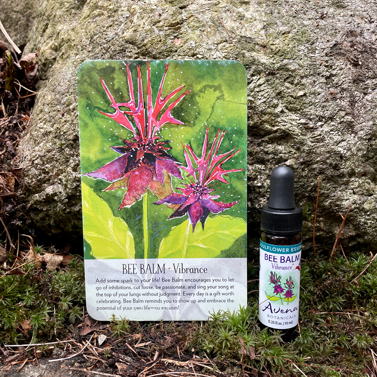 Bee Balm Soulflower Essence8.png