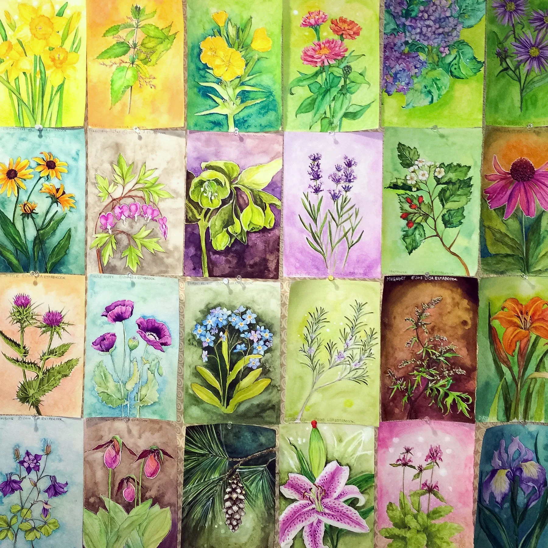 A colorful collage of watercolor paintings of various flowers and plants arranged in a grid.