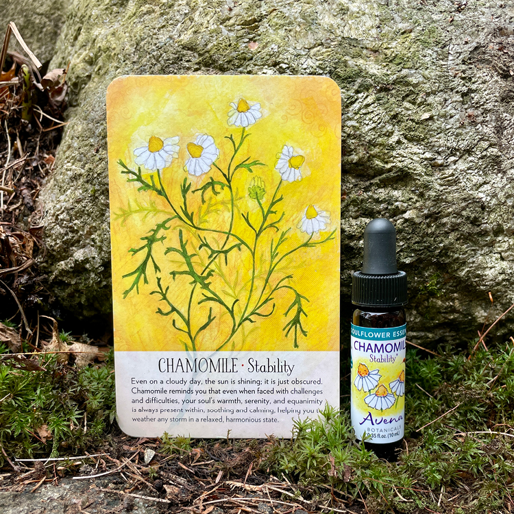 Soulflower Chamomile Flower Essence4.png