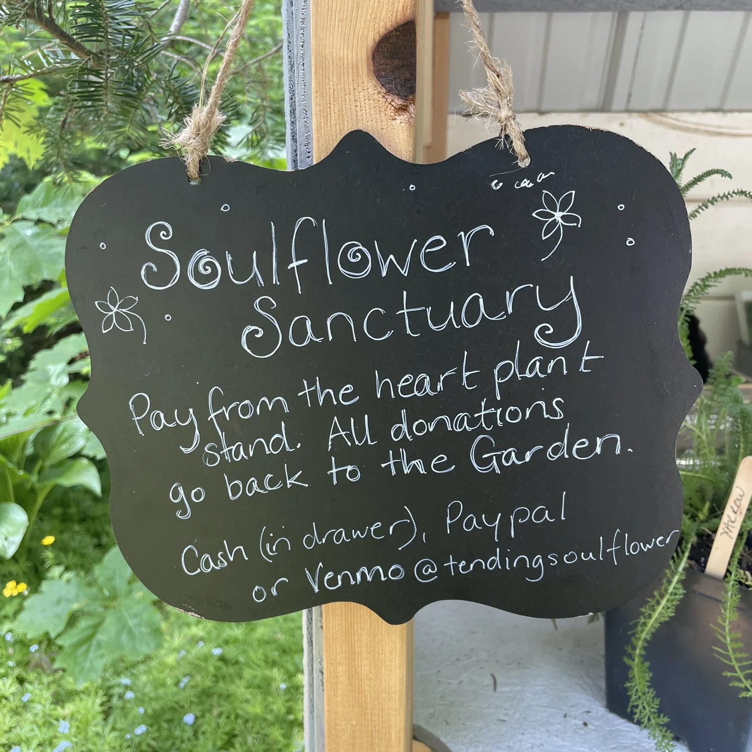 A black signboard with white handwritten text that reads: 'Soulflower Sanctuary. Pay from the heart plant stand. All donations go back to the Garden. Cash (in drawer), Paypal or Venmo @tendingsoulflower' hanging on a wooden post surrounded by green plants.