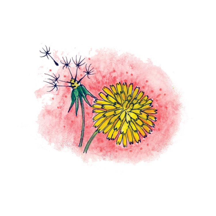 Dandelion Soulflower Essence6.png