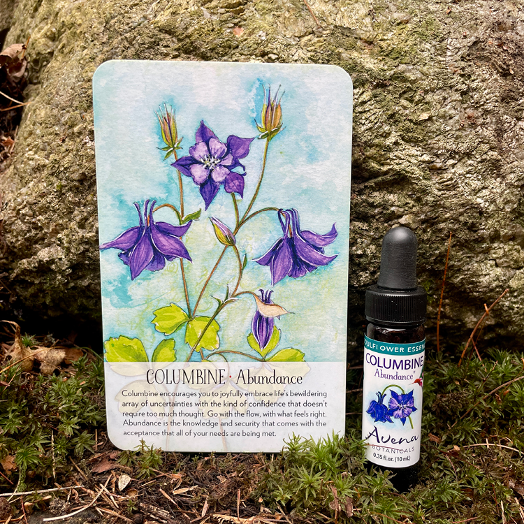 Columbine Soulflower Essence15.png