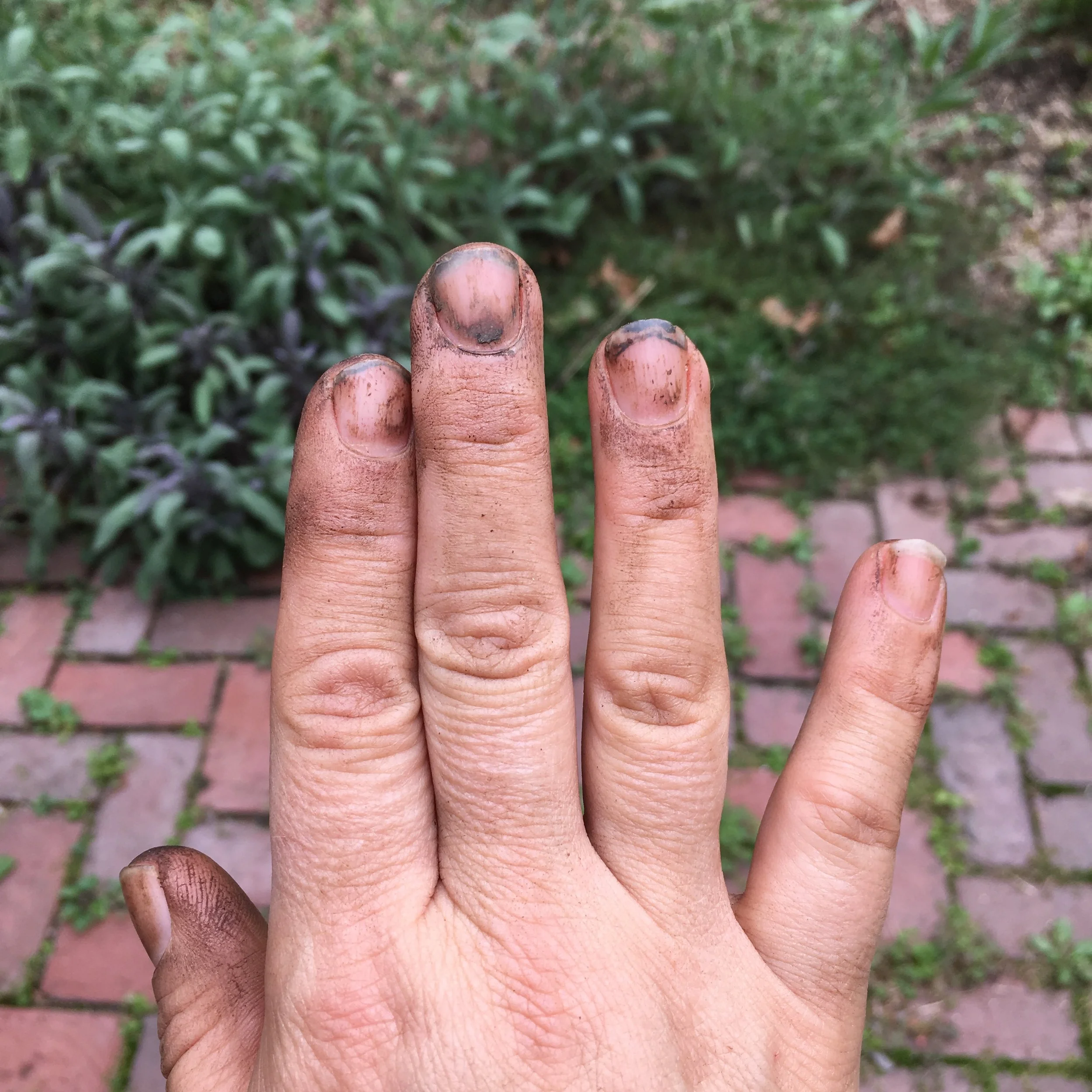 A hand with dirty and blackened fingertips, with some dirt under the nails, holding up four fingers over a background of brick and greenery.