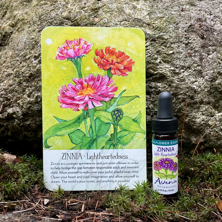 Zinnia Soulflower Essence13.png