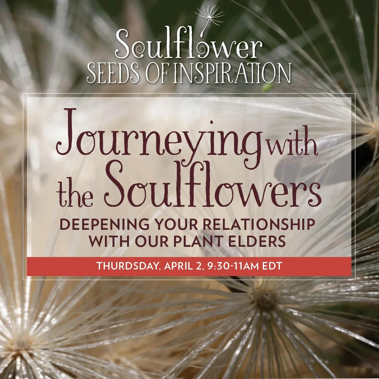 Journeying with Soulflowers.jpg