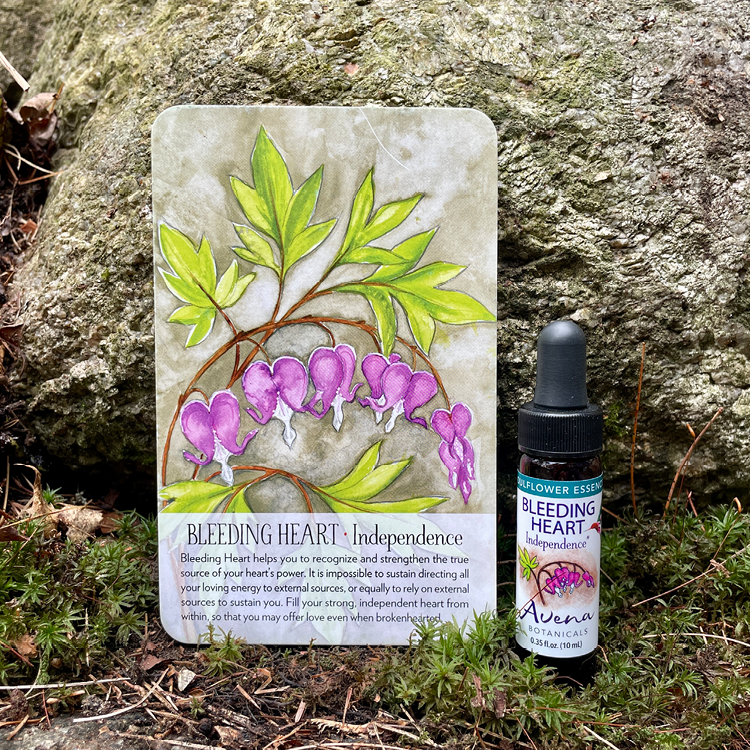 Bleeding Heart Soulflower Essence6.png