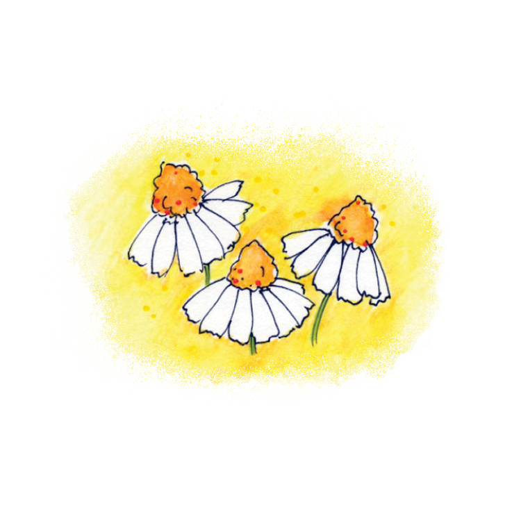 Chamomile Soulflower Essence4.png