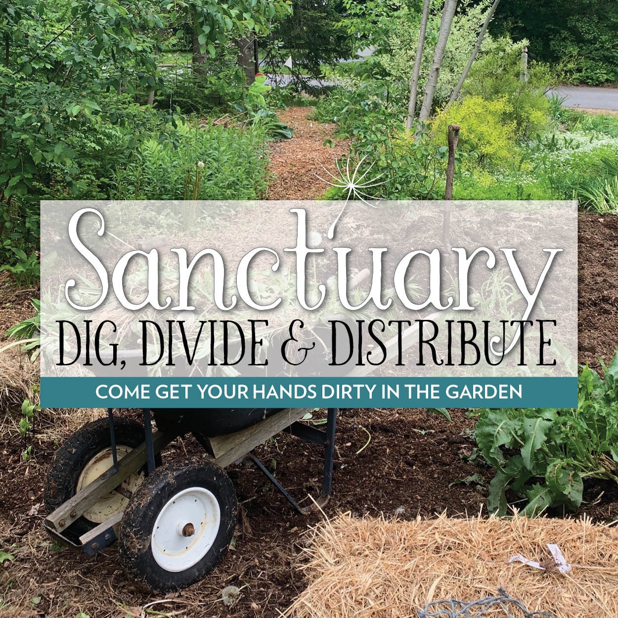 Dig, Divide & Distribute (4/30)