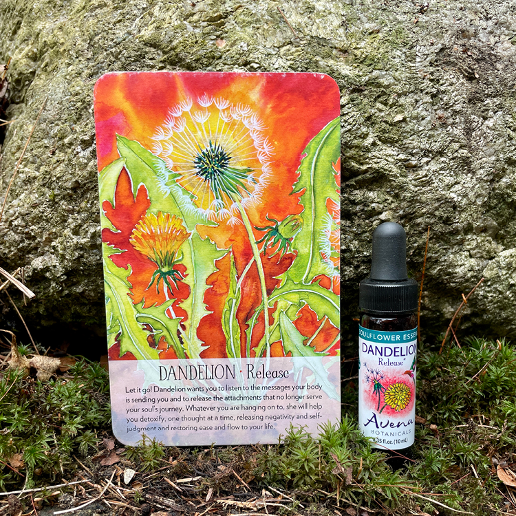 Dandelion Soulflower Essence16.png