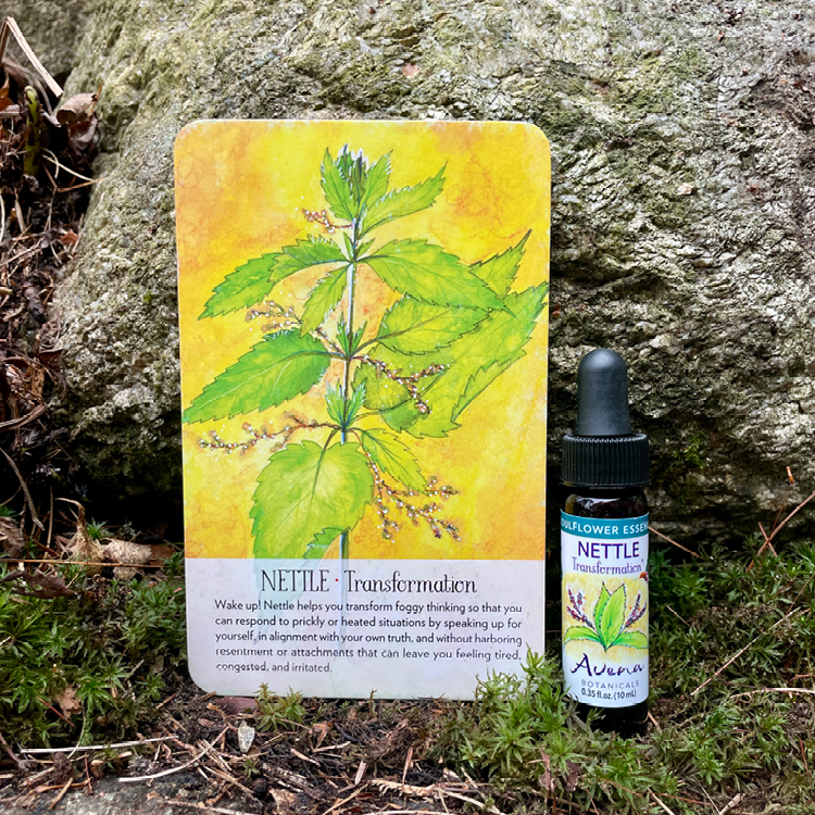 Soulflower Nettle Flower Essence12.png