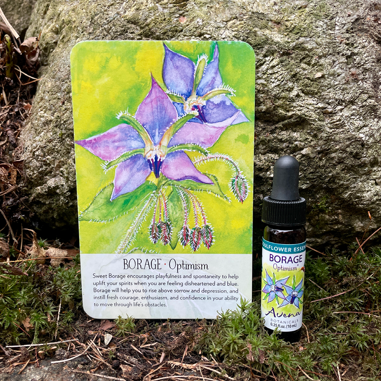 Borage Soulflower Essence14.png