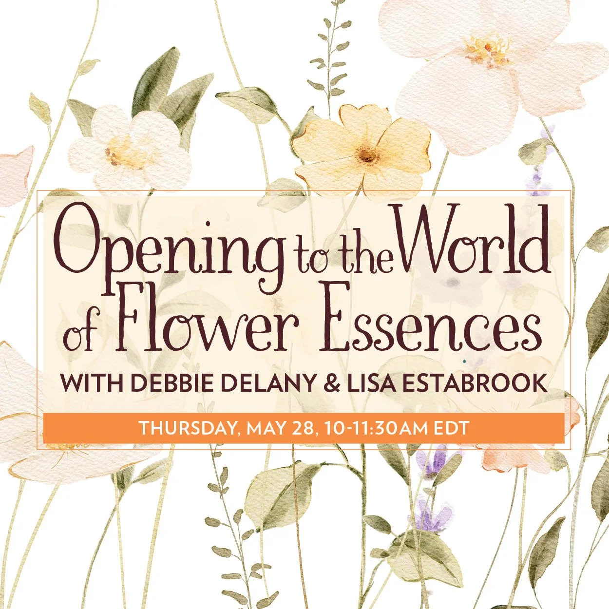 Opening to the World of Flower Essences