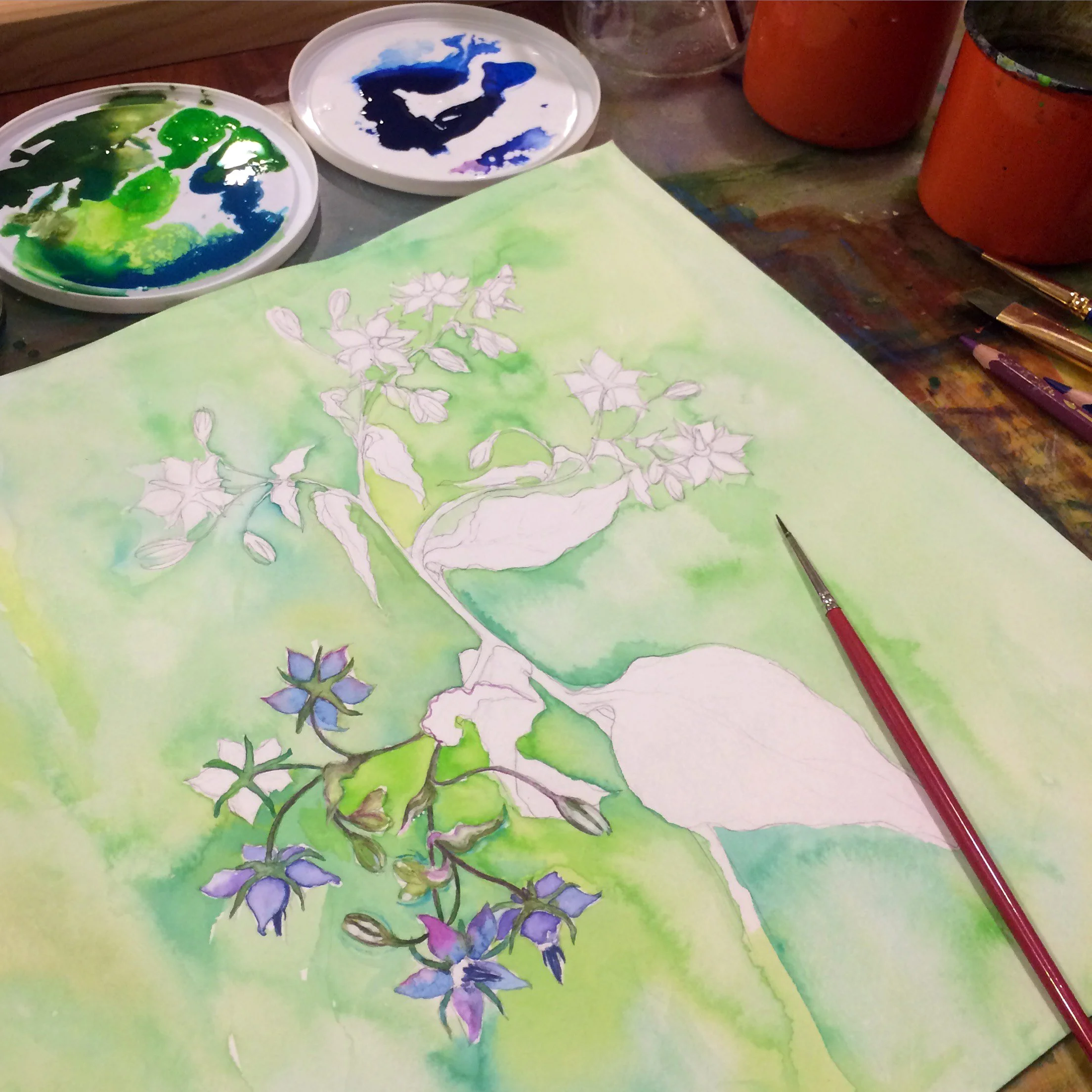 A watercolor painting of a flowering plant in progress on a green background, with watercolor paints, brushes, and a palette nearby.