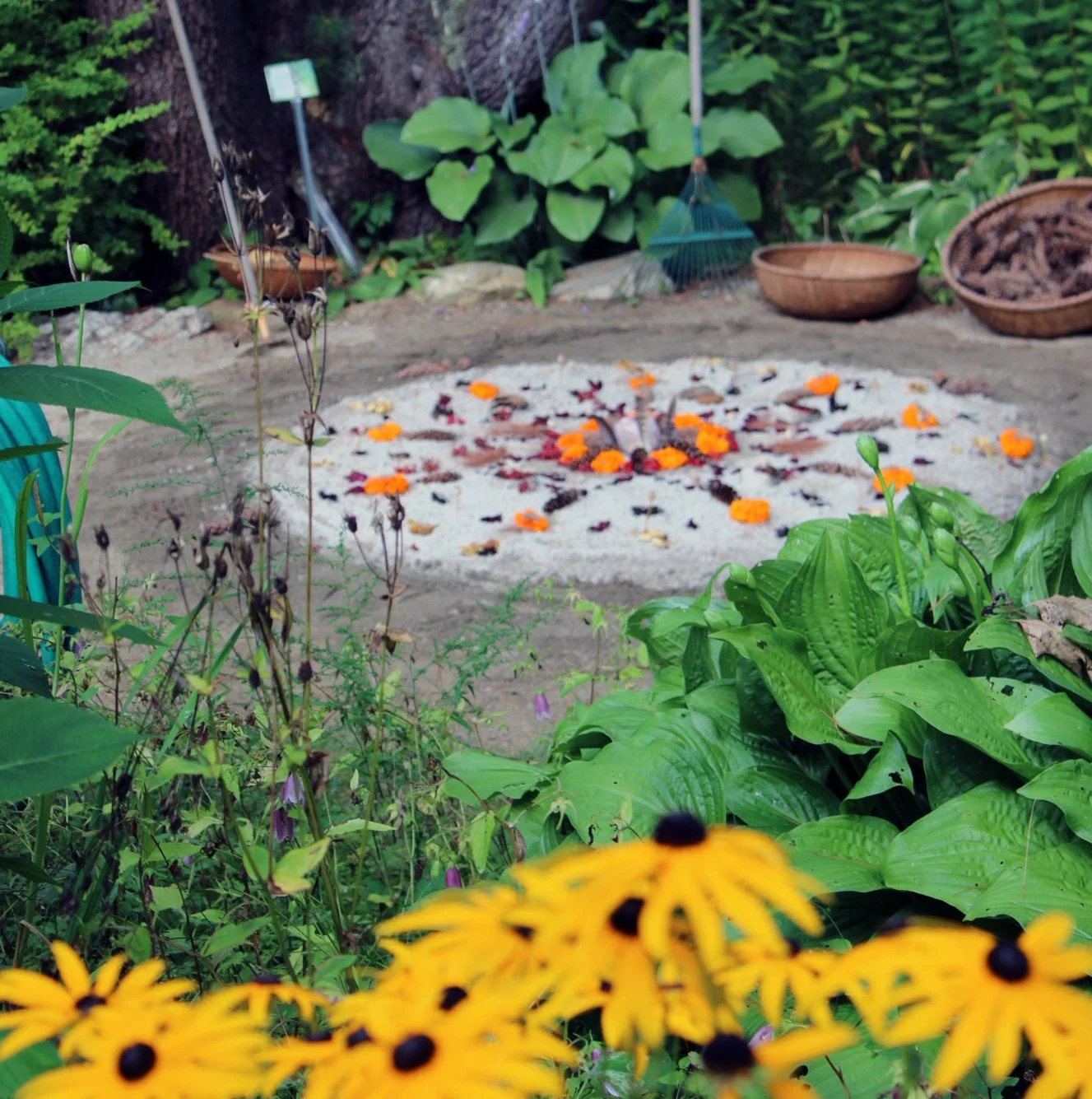 Colorful flower arrangement on the ground with yellow flowers in the foreground, and various plants and gardening tools in the background.