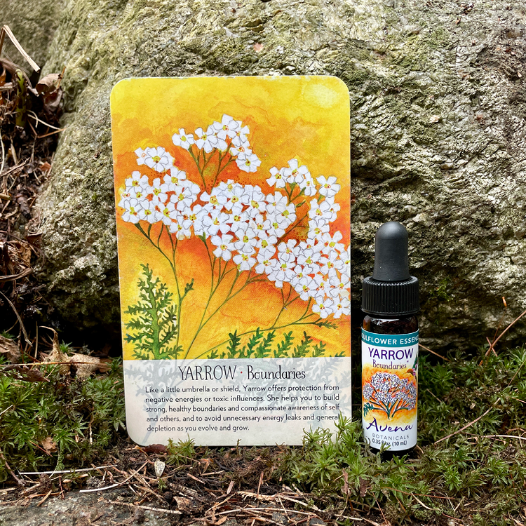 Yarrow Soulflower Essence10.png
