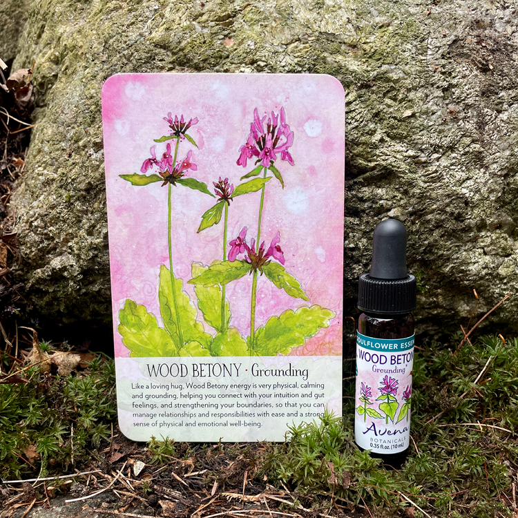 Wood Betony Soulflower Essence3.png