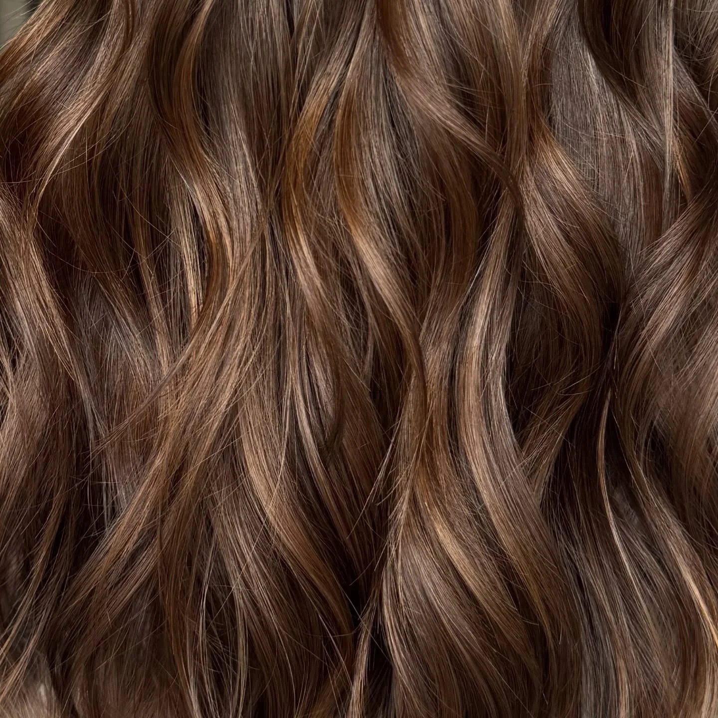 Up close and personal ☁️😮&zwj;💨

Fall is the perfect time for a color transition🙌🏽 
Message us to book your appointment!

Color by @beauty__by__raquel 

#taylorsschairsalon #greerschairstylist #gvlschair #acceptingnewclients