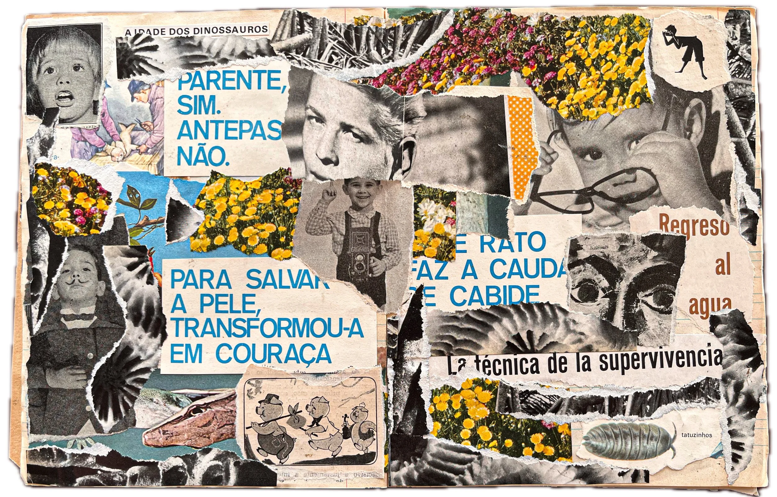 Colagem com fotos em preto e branco e coloridas, frases e desenhos, incluindo crianças, flores amarelas, uma lagarta e várias imagens de recortes de jornal e revista.