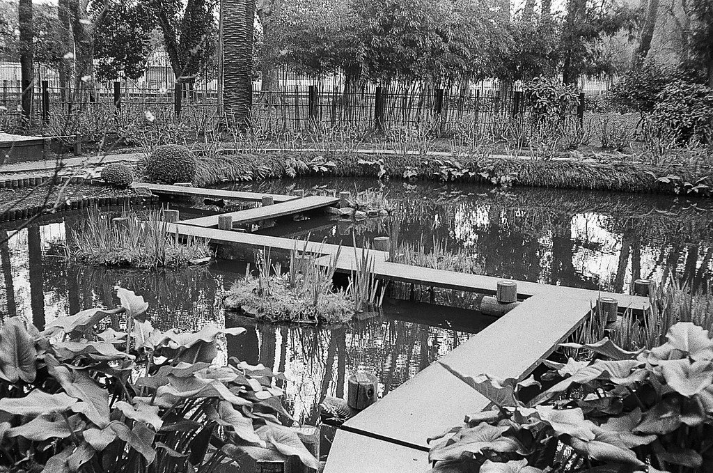 Jardim com lago, plantas ao redor, pontes de madeira cruzando a água, cercado por árvores e uma cerca ao fundo.