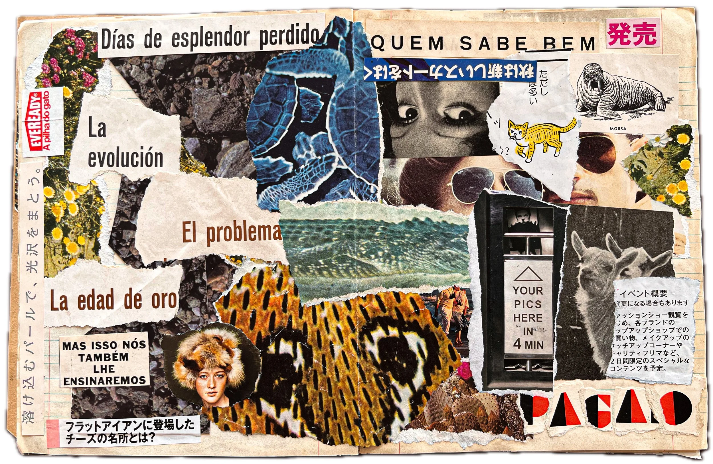 Colagem de recortes de revistas e colagens com imagens de animais, pessoas, natureza e textos em vários idiomas, incluindo português, japonês, e inglês, com frases como "Dias de esplendor perdido", "La evolución", e "El problema".