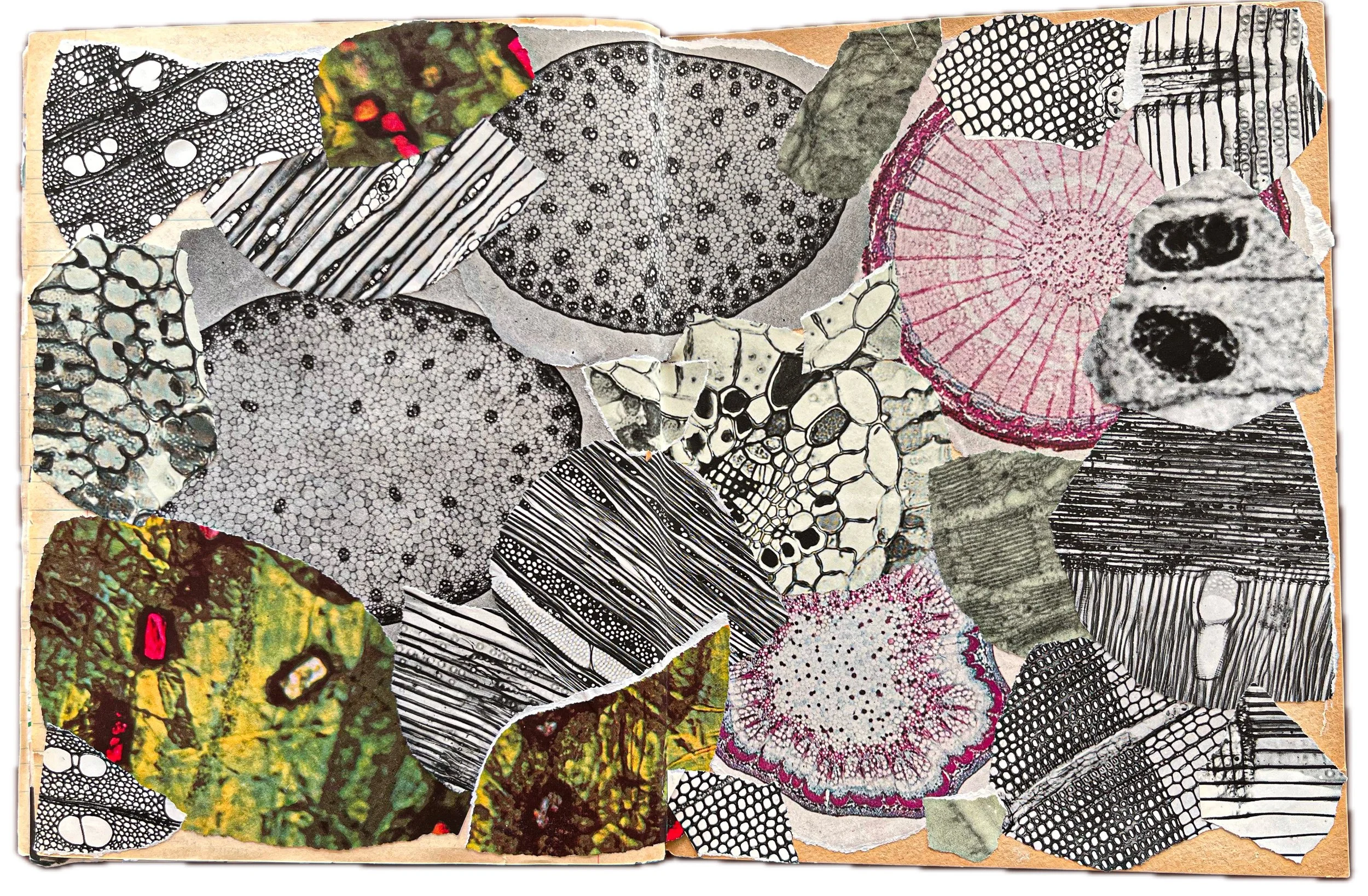 Montagem de vários pedaços de papel referência a padrões de microscopia de diferentes estruturas biológicas, com tons preto, branco e alguns detalhes coloridos, formando uma colagem em um fundo de papel kraft.