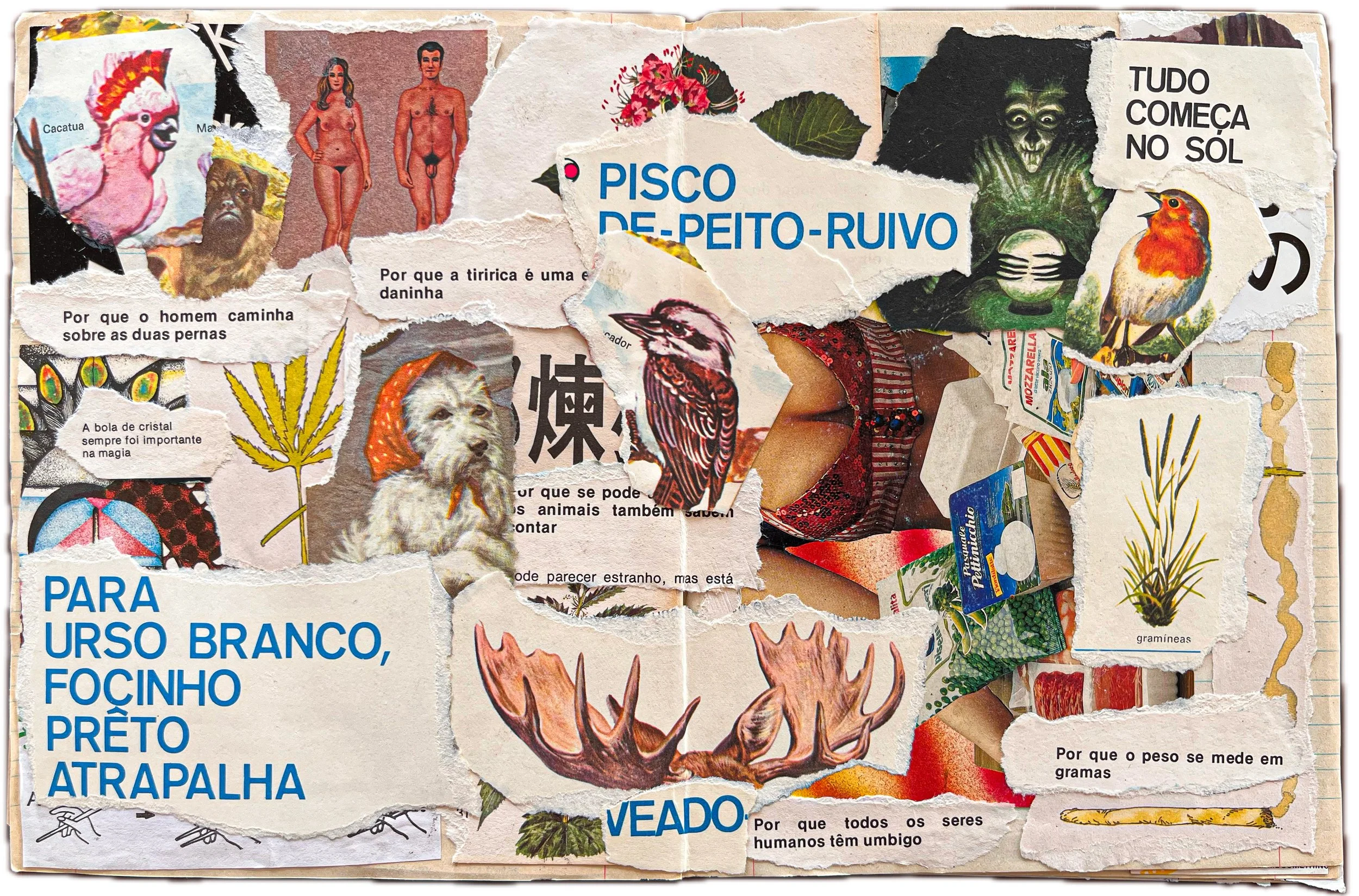 Colagem de pedaços de papel com imagens e textos, incluindo um peru, um cachorro, uma pessoa e uma mulher com um vestido vermelho, além de várias frases em português relacionadas a animais, alimentos e objetos. Destaque para palavras grandes como 'PA