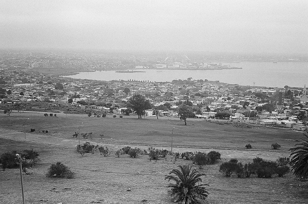 Vista de uma cidade litorânea com uma área de vegetação no primeiro plano, incluindo coqueiros e arbustos, e uma cidade à beira do mar ao fundo.